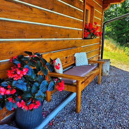 Villa Roubenka Vlci Hora Krásná Lípa Exterior foto