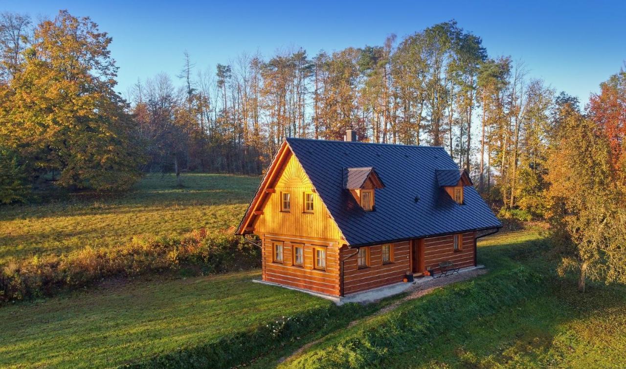 Villa Roubenka Vlci Hora Krásná Lípa Exterior foto