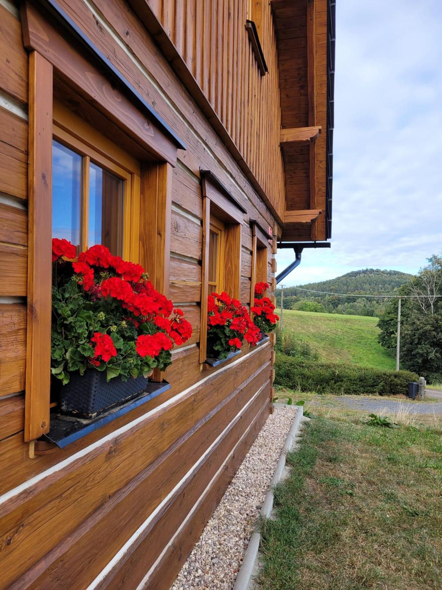 Villa Roubenka Vlci Hora Krásná Lípa Exterior foto