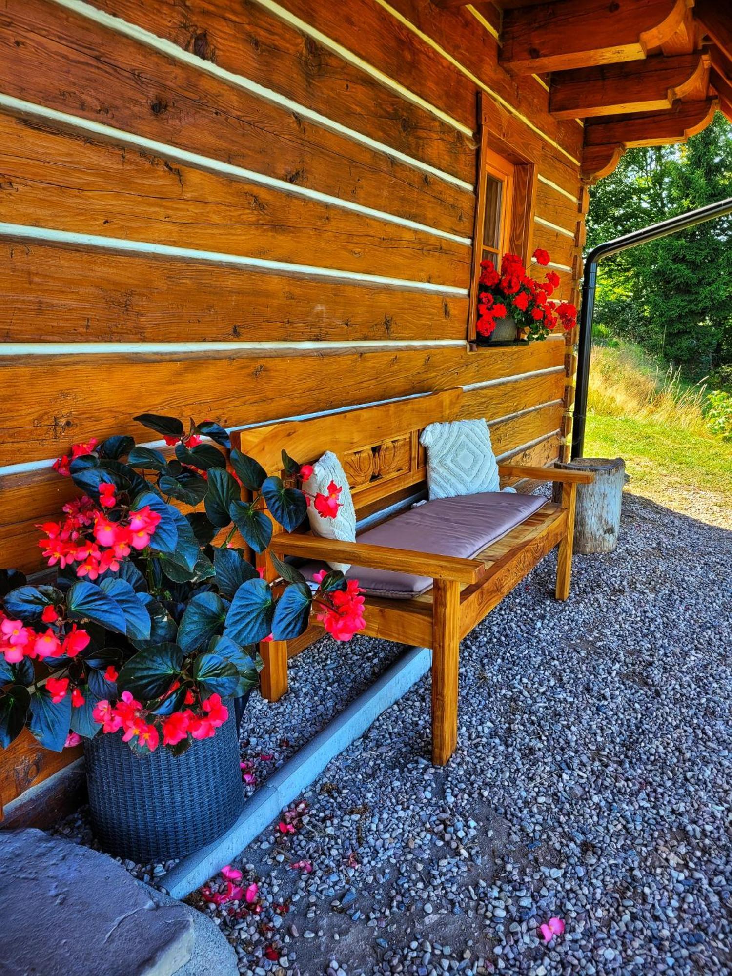 Villa Roubenka Vlci Hora Krásná Lípa Exterior foto