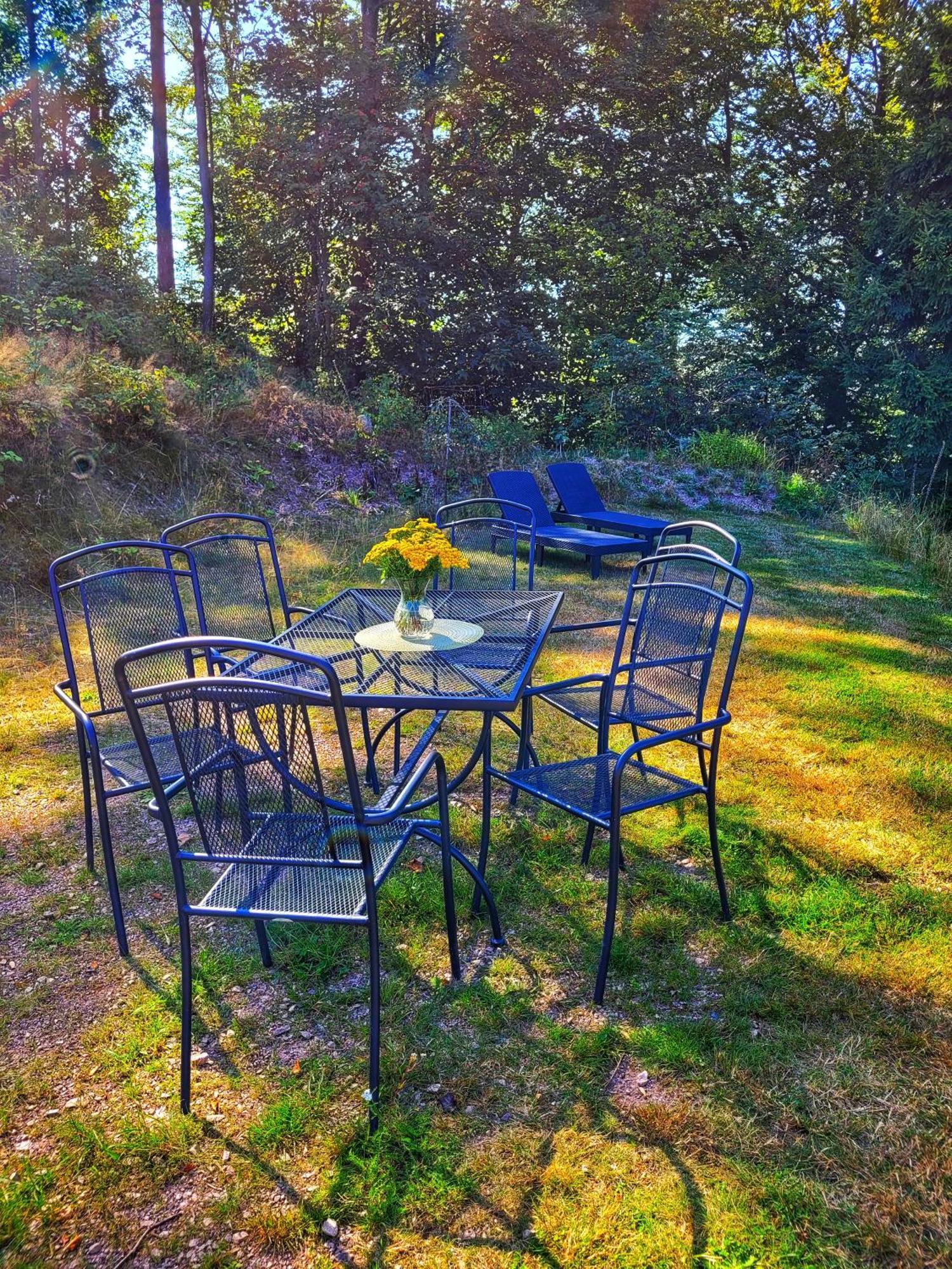 Villa Roubenka Vlci Hora Krásná Lípa Exterior foto